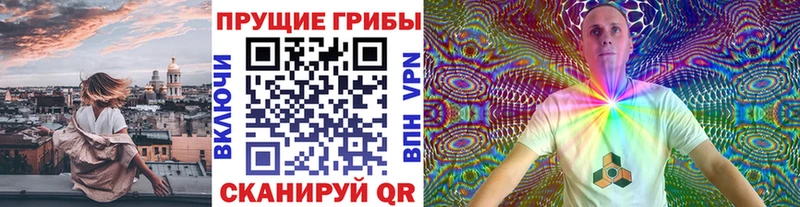 Галлюциногенные грибы Psilocybe  Купить  Дмитриев 